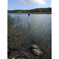 Hampton King Tide image